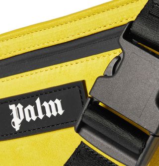 Palm Logo-Appliquéd Suede Belt Bag — view 4