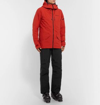 Peak Performance Alpine GORE-TEX Ski Salopettes — view 3